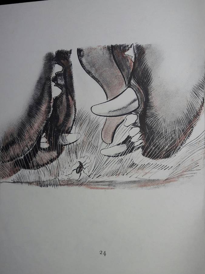 Frikki Vlooi - AAJ van Niekerk