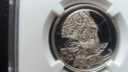 2004 5C ¼ oz Silver Leopard PF70 Ultra Cameo  - Top of the  Pops - Best there is