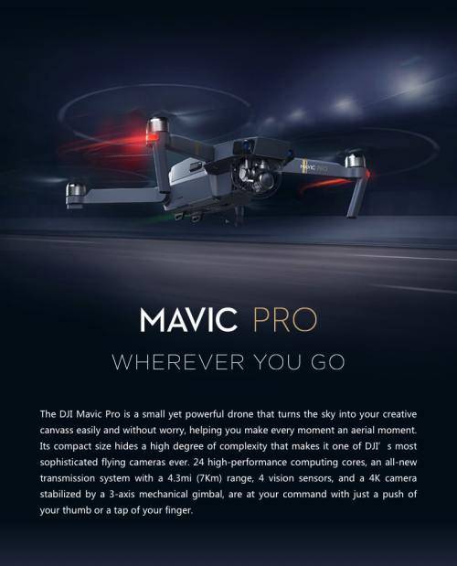 Excelent DJI Mavic Pro Flymore Combo + DJI Goggles