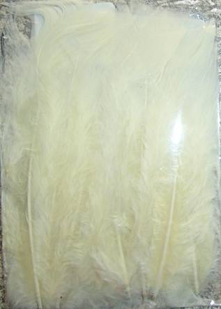 Pack of 10 Quality Turkey Flats, CREAM  (For Earrings, DreamCatchers, Mobiles, Pendants)