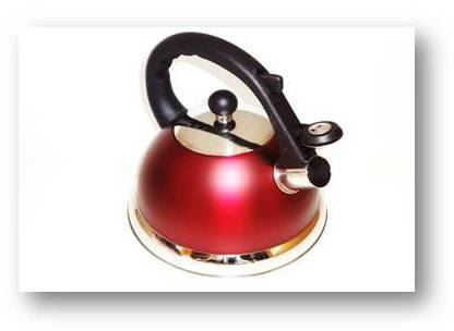 Whistling Water Kettle