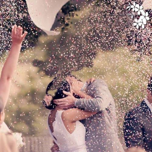 4000 Pieces OF WEDDING DECORATION OR CONFETTI - SPECIAL ORDER FOR CAREN