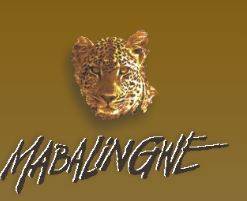 PERFECT FOR VALENTINE'S /HONEYMOON / ANNIVERSARY IN FEBRUARY @ MABALINGWE 13 FEB-17 FEB 2017