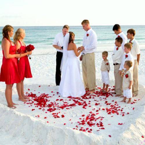 1000  DEEP WINE RED SILK  ROSE PETALS - USE FOR PHOTO PROP/TABLE DECOR/ROMANTIC SETTING