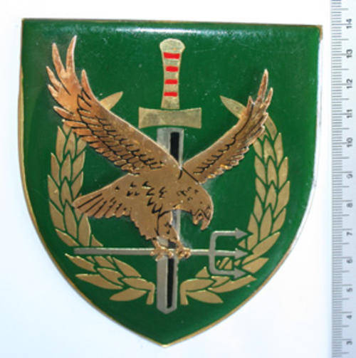 South African Police Task Force Operator