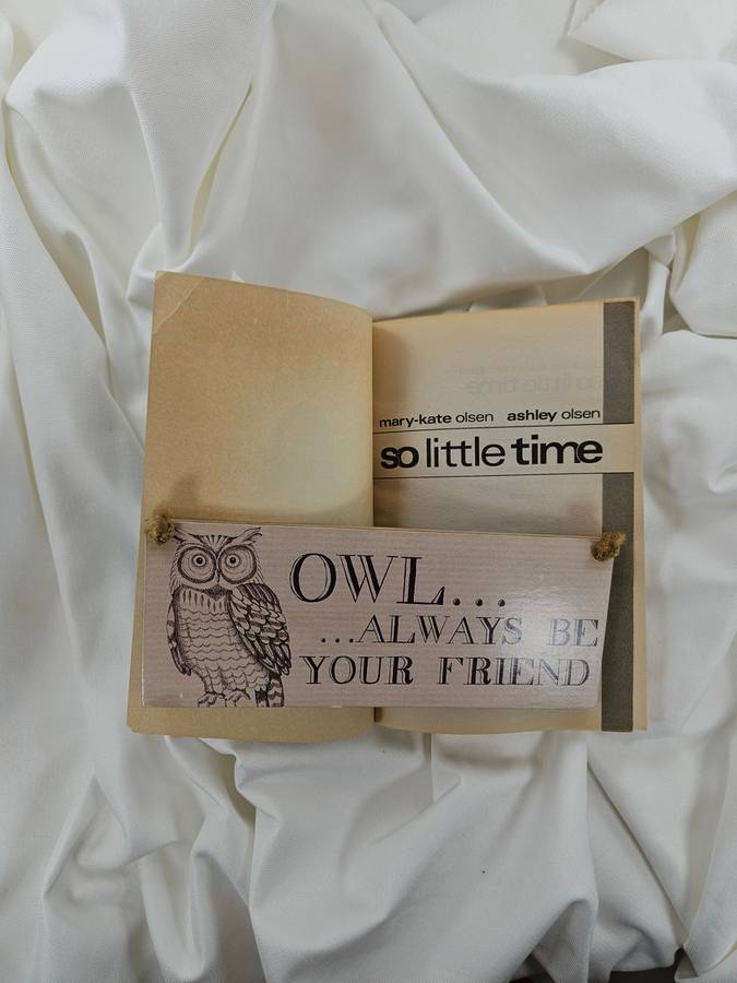 So Little Time (Best Friends Forever) by Mary-Kate & Ashley Olsen - Paperback