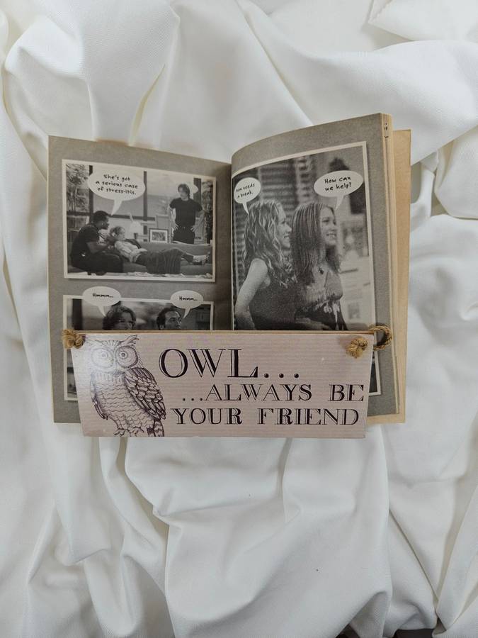 So Little Time (Best Friends Forever) by Mary-Kate & Ashley Olsen - Paperback