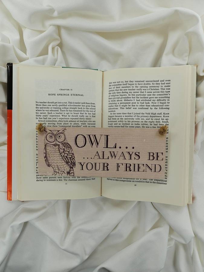 A Blackboard Around my Neck by F.C. Metrowich - Hardback