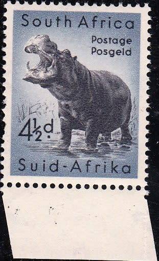 SA 1954: DEFINITIVE ISSUE MARGINAL 4½d HIPPOPOTAMUS MNH (SACC154)