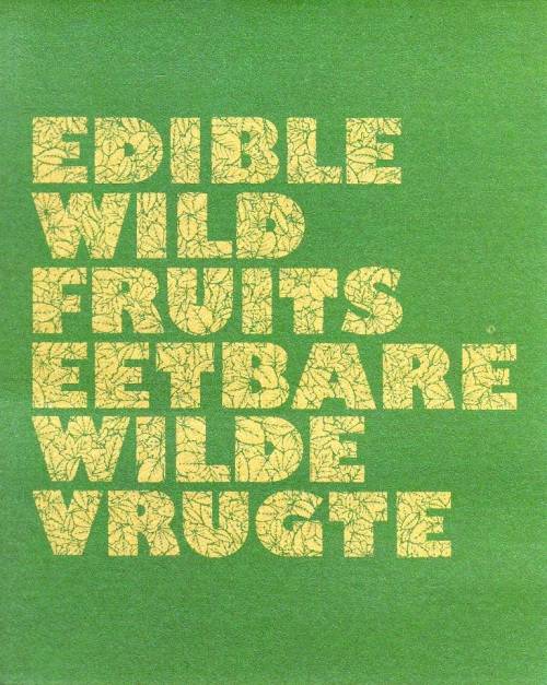 BOPHUTHATSWANA COLLECTORS SHEET 1.12a 1980: EDIBLE FRUIT