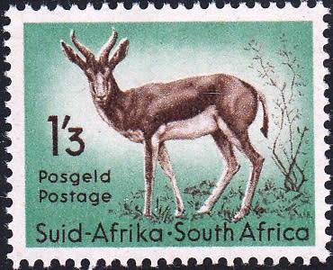 UNION 1954: DEFINITIVE ISSUE 1`3s SPRINGBUCK MNH (SACC 159)