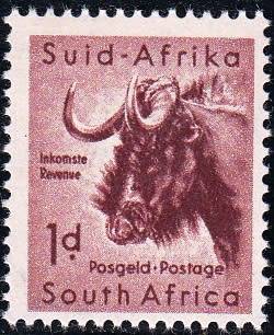 UNION 1954: DEFINITIVE ISSUE 1d BLACK WILDEBEEST MNH (SACC 151)