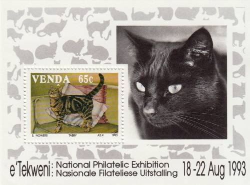 VENDA 1993 FOUNDATION MINIATURE SHEET - DOMESTIC CATS MNH (SACC 251a)