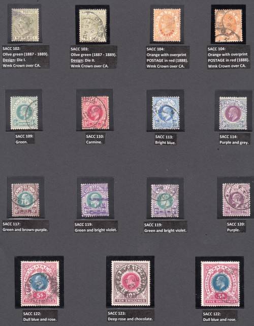 NATAL COLLECTION 1859-1909 BEAUTIFULLY LABELLED, MAINLY USED