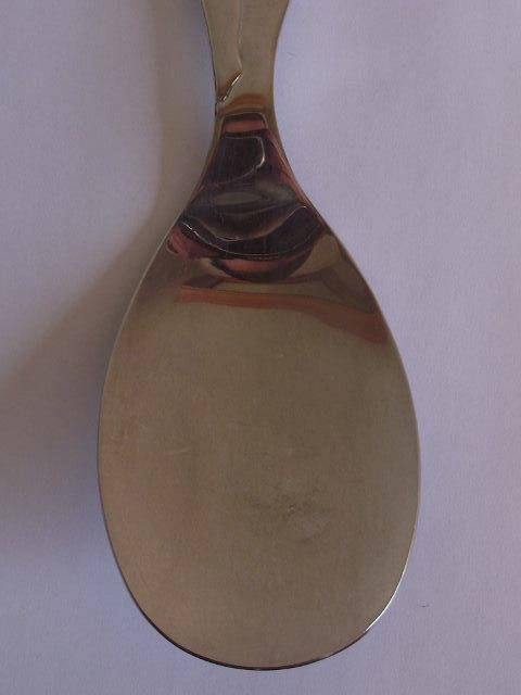 LOVELY LARGE CARROL BOYES SERVING SPOON