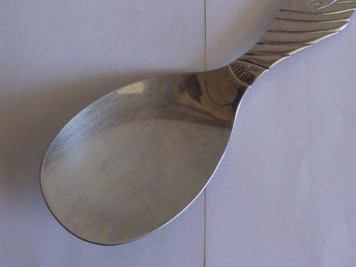 BEAUTIFUL CARROL BOYES 18/8 STAINLESS STEEL SERVING SPOON - WASADI