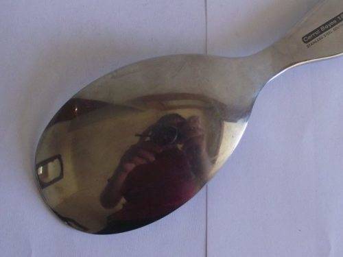BEAUTIFUL CARROL BOYES 18/8 STAINLESS STEEL SERVING SPOON - WASADI
