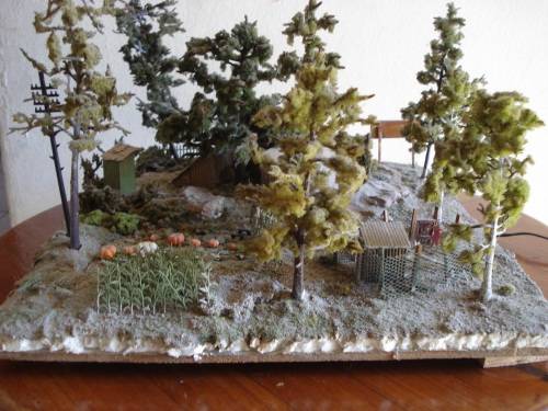 HO SCALE COUNTRY SCENE DIORAMA