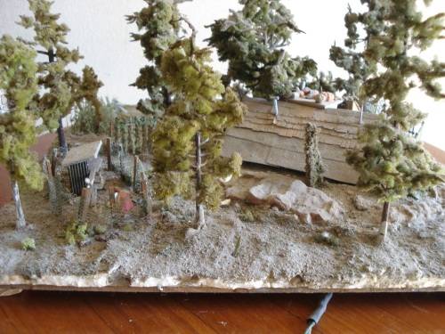 HO SCALE COUNTRY SCENE DIORAMA