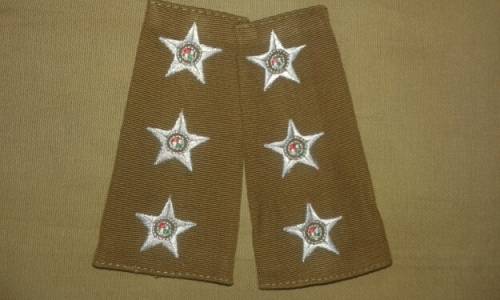 SADF. Nutria slipon rank. Captain