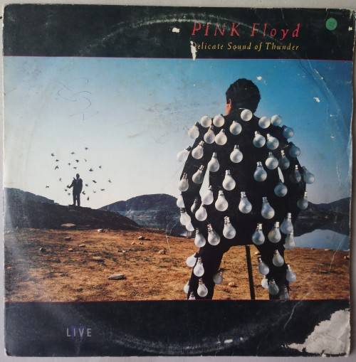 Pink Floyd - Delicate Sound Of Thunder - Vinyl Gatefold LP - CBS - SA - 1988 - SCBS 3244 - P/VG