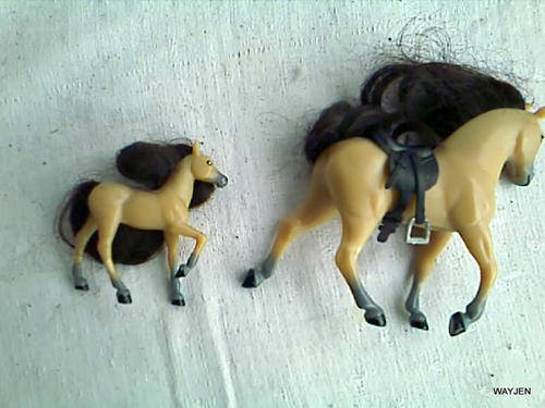 2 LOVELY SMALL HORSES.