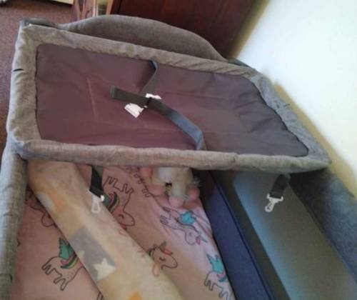 Safeway Co-Sleeper Camping Cot