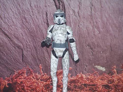STAR WARS CLONE ARF TROOPER CAMO Loose