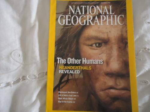 NATIONAL GEOGRAPHIC -OCTOBER 2008 VOL 214 NO.4 IN EXCELLENT CONDITION