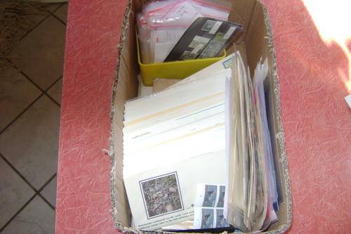 A BOX OF COVERS STAMPS MANY MANY ITEMS LOOK SCANSCOULD BE SOME FINDS?