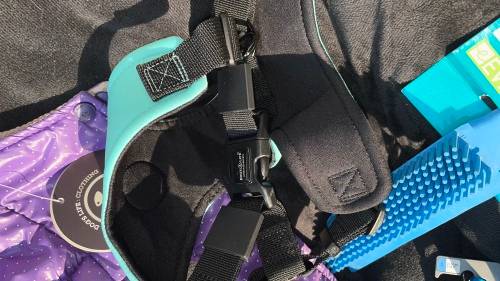 BARGAIN!!! Dog - Pet Accesories Combo!!!!