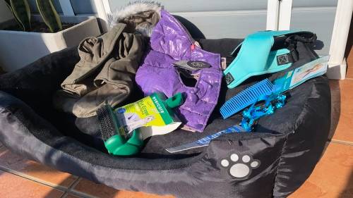 BARGAIN!!! Dog - Pet Accesories Combo!!!!