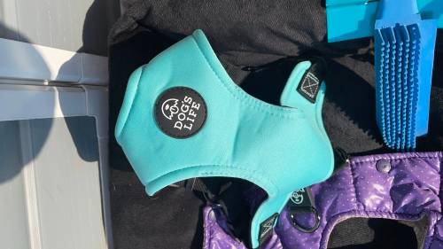 BARGAIN!!! Dog - Pet Accesories Combo!!!!