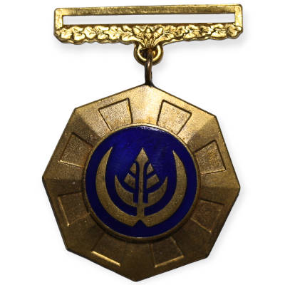 SADF Pro Patria Full Size Medal Swivel Mount