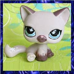 Littlest Pet Shop, Cat
