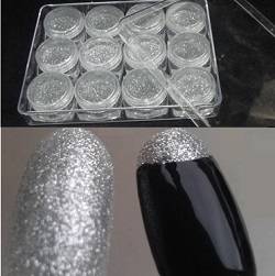 12 PCS SILVER NAIL GLITTER SET