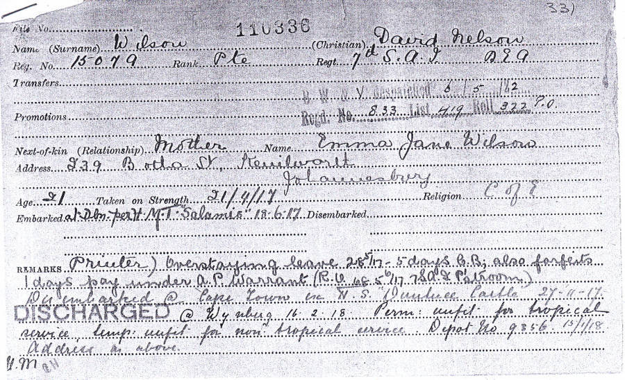 WW1 BRITISH WAR MEDAL PTE. D.N. WILSON- EAST AFRICA + GERMANY- MALARIA