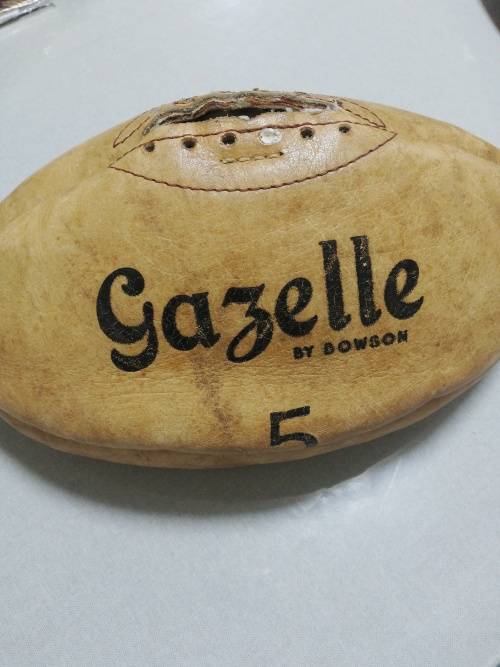 Gazelle Leather Rugby ball signed by Springboks and South America