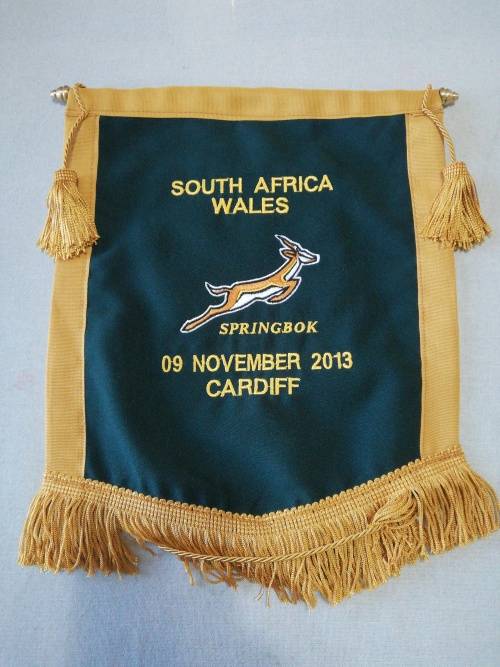 Springboks vs Wales 09.11.2013