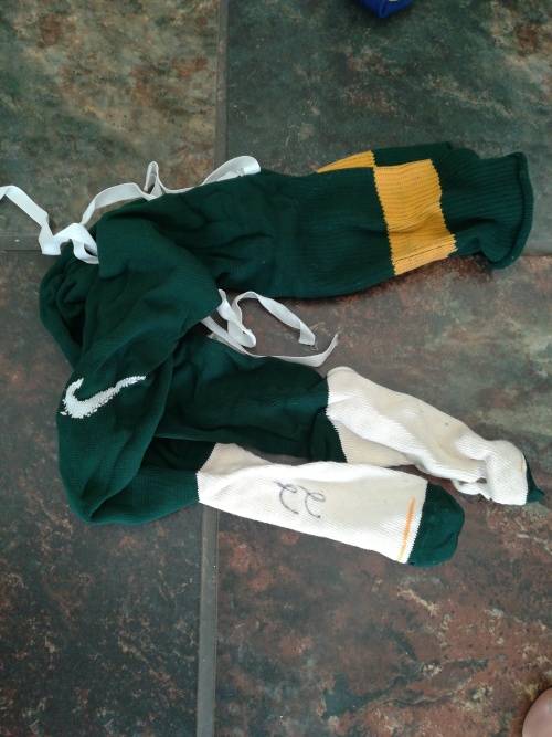 Springbok Socks