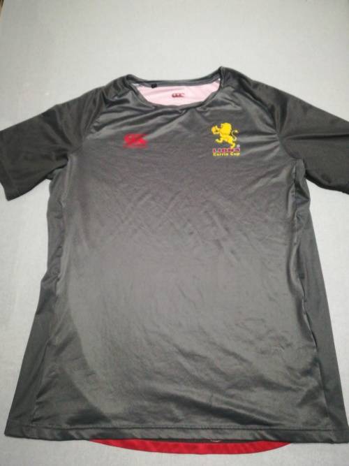 Lions Players Currie Cup Training Shirt Size XL