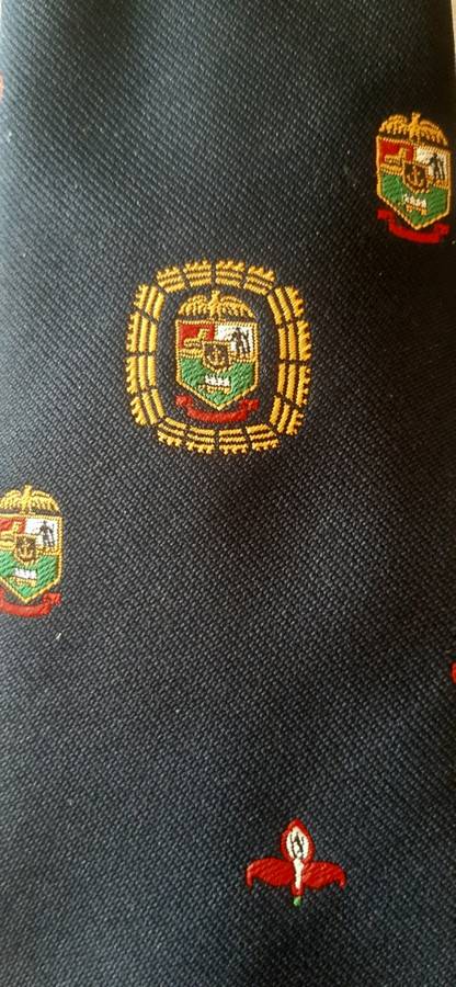 Rugby Tie