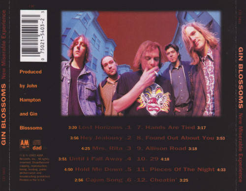 Gin Blossoms - New Miserable Experience CD Import