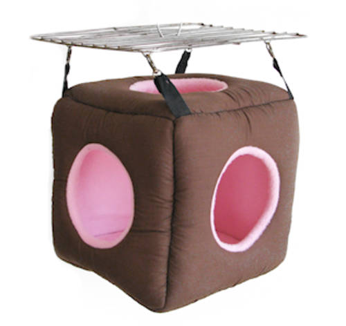 Marmoset Monkey Cube