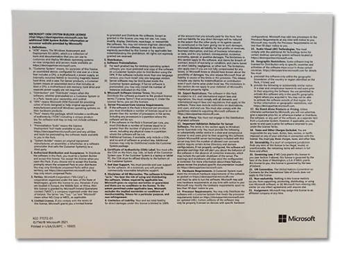 Windows 11 Professional