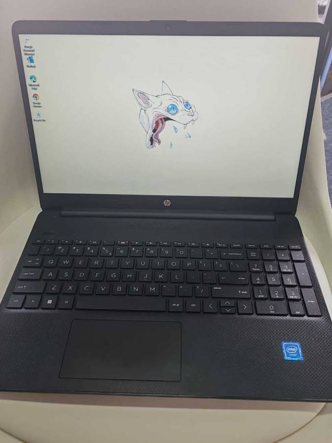 HP Celeron Laptop with 4GB RAM, 128GB SSD