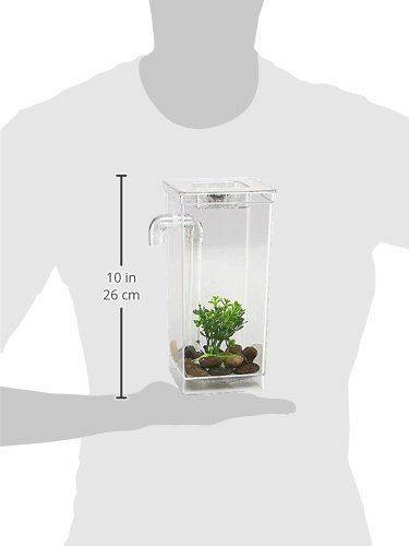 My Fun Fish Self Cleaning Tank Complete Aquarium Setup Brand
