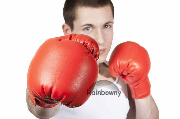 Adult Large boxing gloves