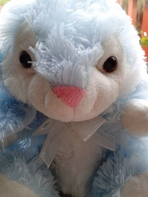 Bluebell the Soft Bunny!  Special!