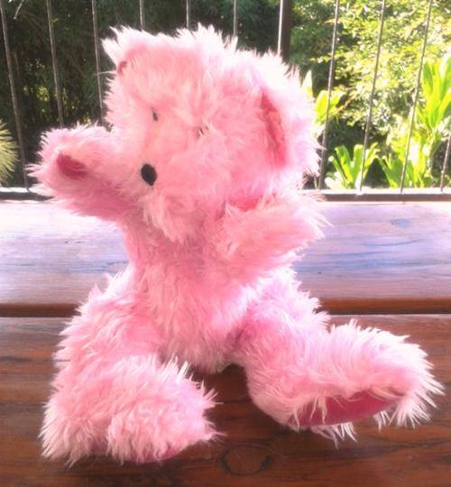 Pinky the Cute Teddy Bear!  Gorgeous and Handmade!